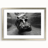 Hippopotamus-themed wall art design featuring a silver frame and mat, showcasing vibrant colors and intricate details, perfect for wildlife enthusiasts' decor.