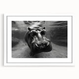 Hippopotamus-themed wall art design featuring a vibrant illustration of a hippo in a natural habitat, framed in white with a mat, ideal for wildlife enthusiasts.