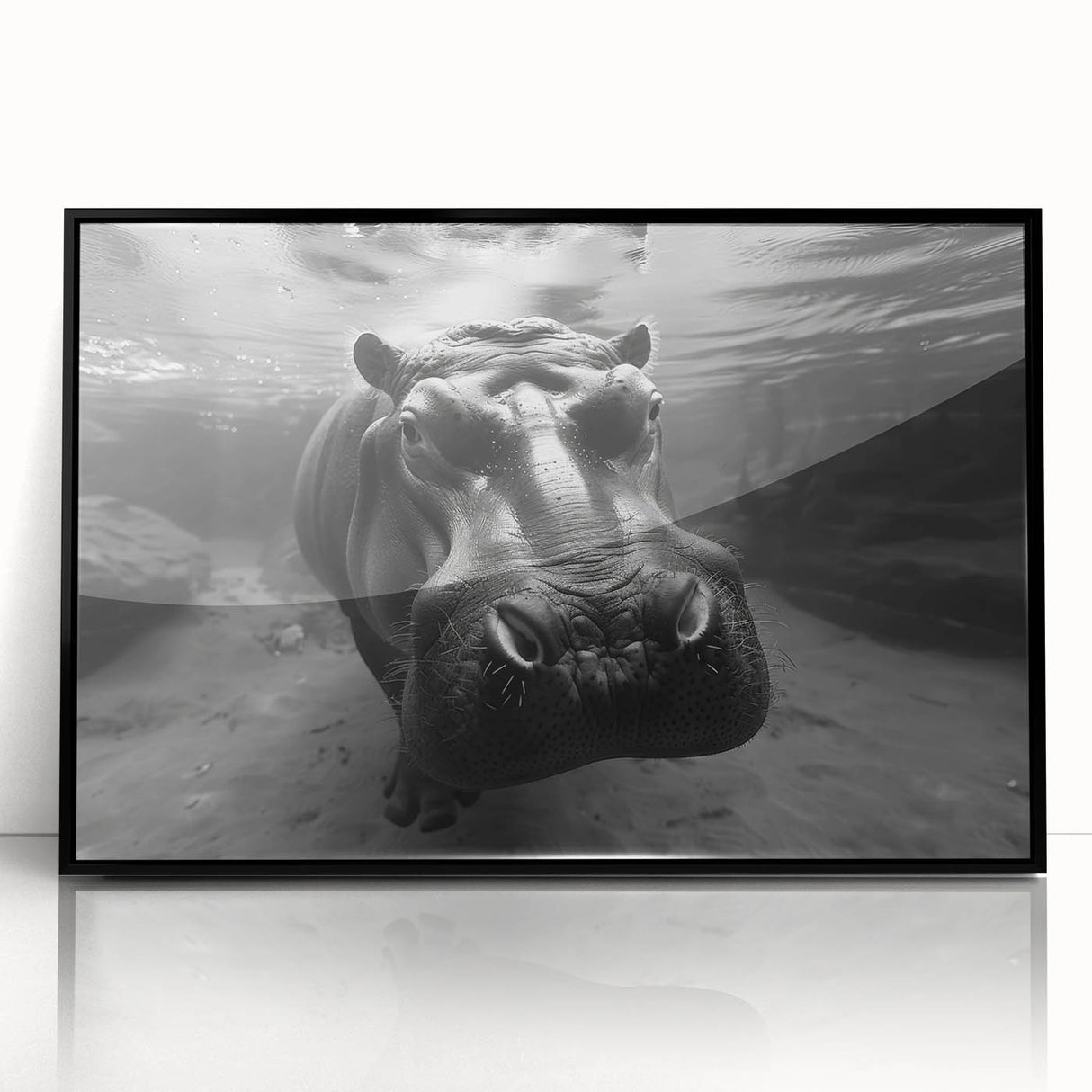 Framed wall art featuring a striking black and white illustration of a hippopotamus in a frontal view. The art piece showcases intricate details, perfect for animal lovers and unique home decor.