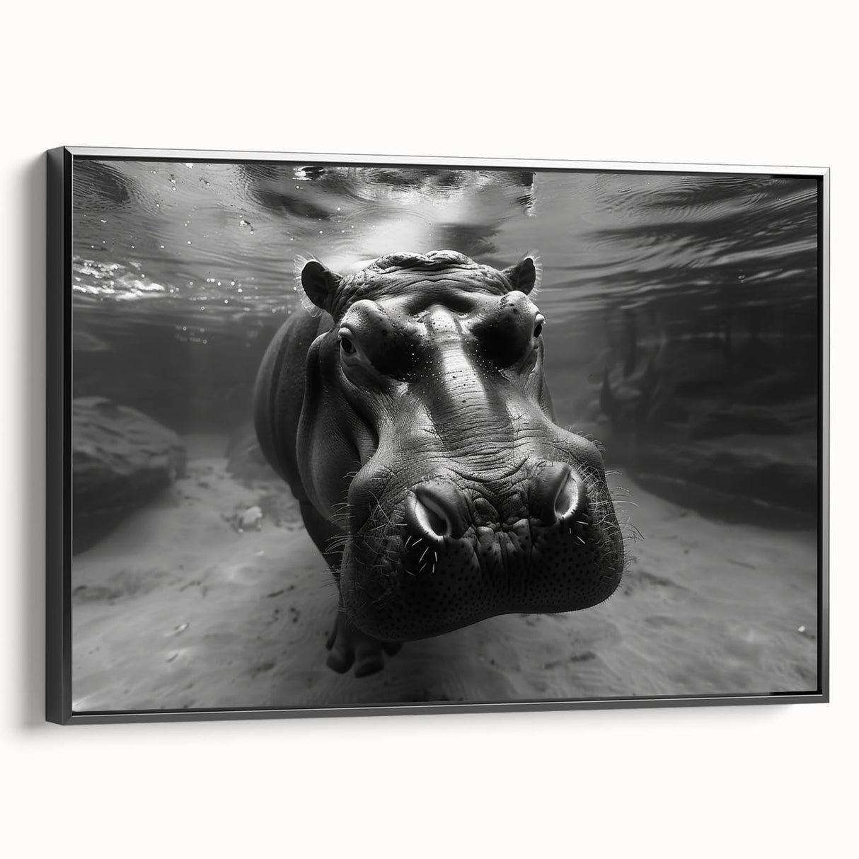 Framed wall art featuring a striking black side view of a hippopotamus, showcasing intricate details and textures, perfect for animal lovers and decor enthusiasts.