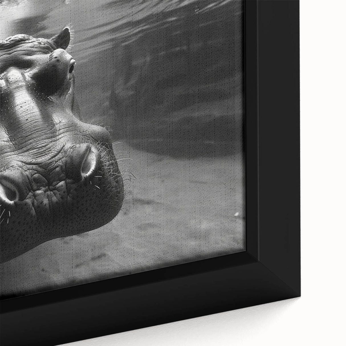 Close-up of a framed canvas wall art piece showcasing a vibrant hippopotamus design, highlighting intricate details and rich colors, perfect for animal lovers and home décor enthusiasts.