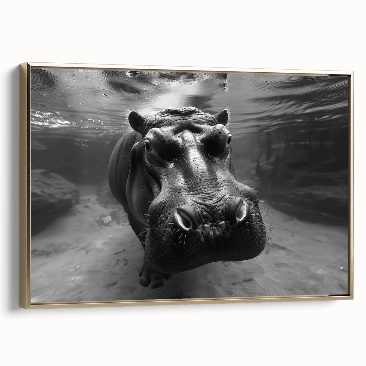 Framed canvas wall art showcasing a side view of a hippopotamus in a striking gold design, perfect for nature enthusiasts and home decor lovers. Ideal for adding a touch of wildlife elegance to any interior space.