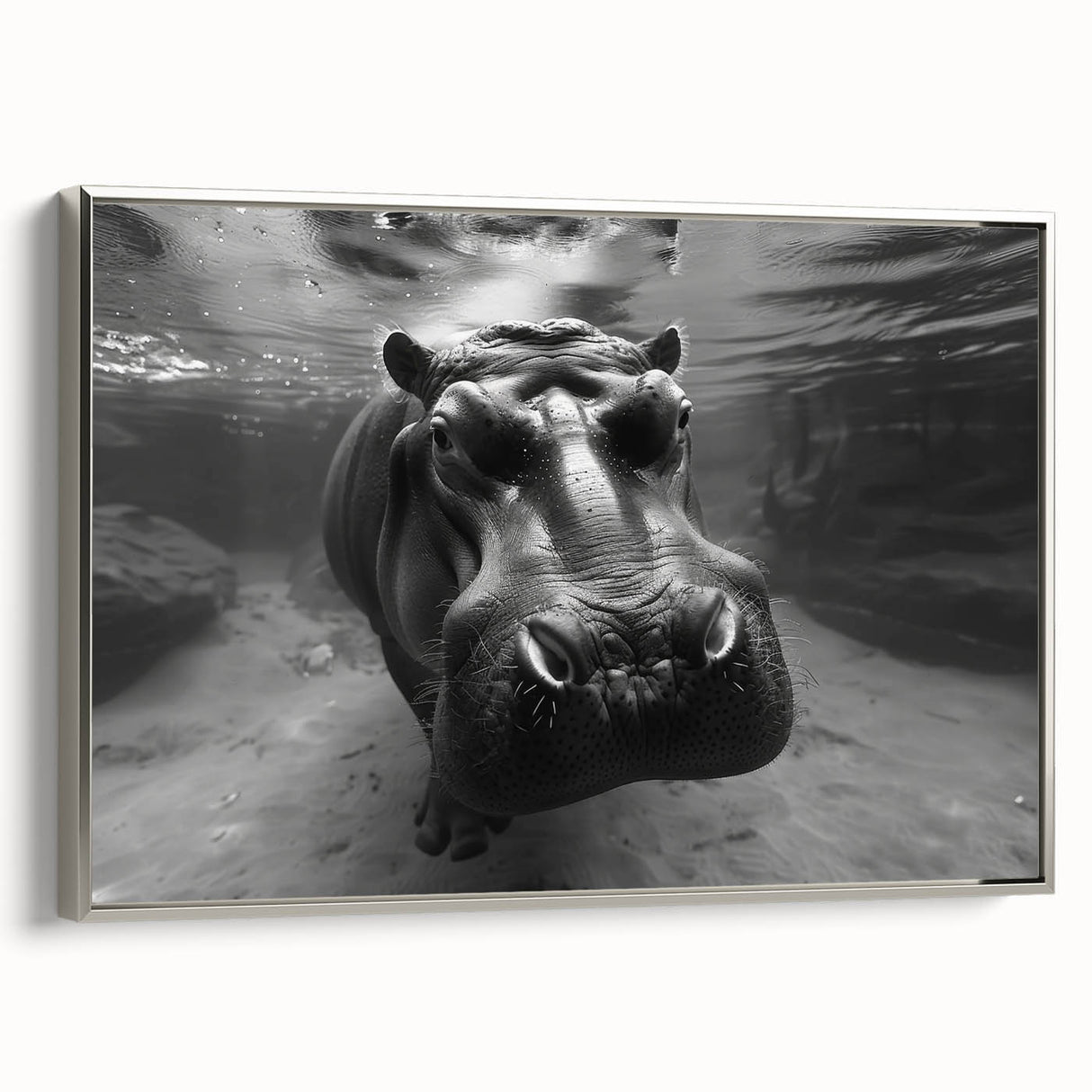 Framed canvas wall art showcasing a silver side view of a hippopotamus, with intricate details capturing its texture and natural beauty, perfect for wildlife enthusiasts.