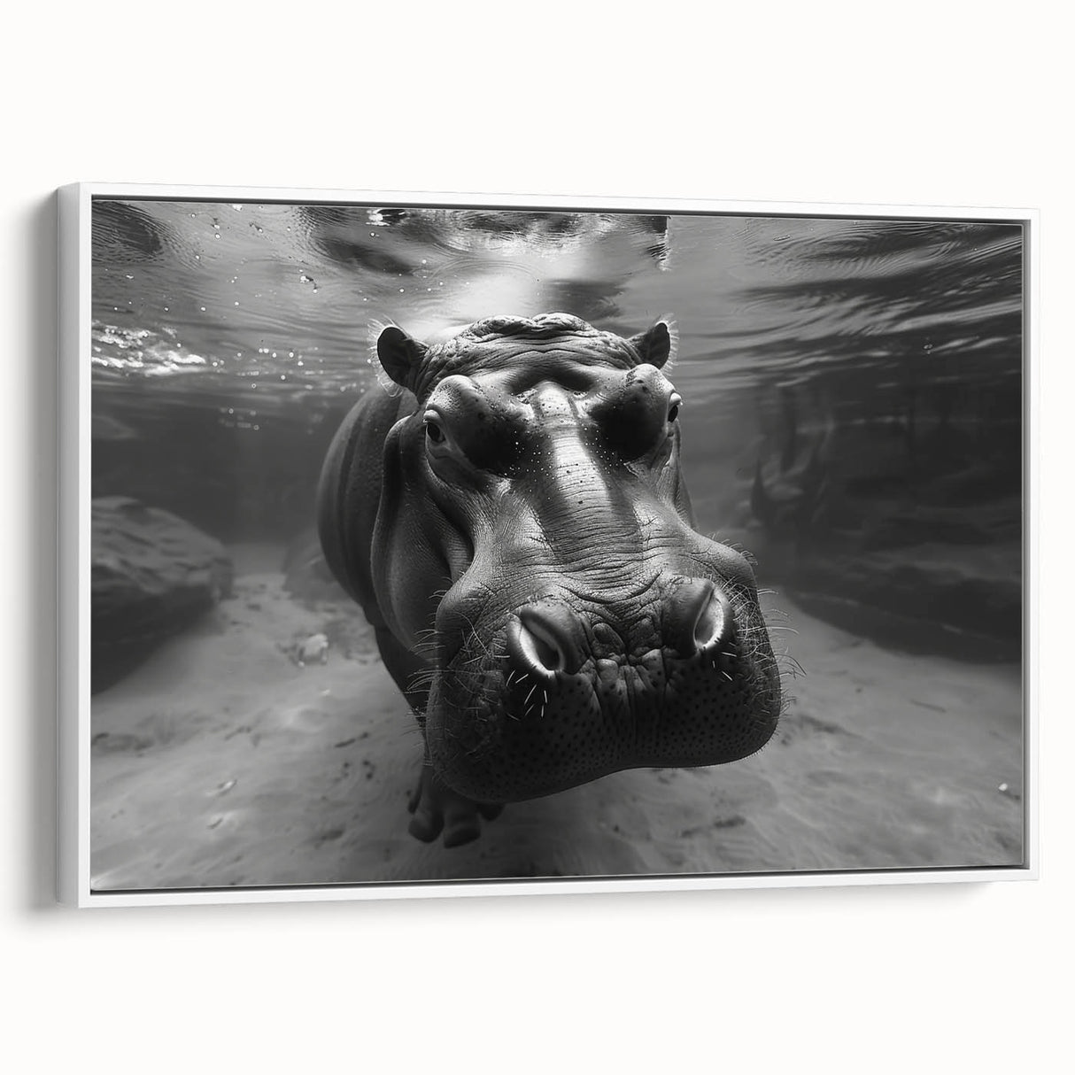 Framed canvas wall art featuring a side view of a hippopotamus against a white background, showcasing vibrant colors and intricate design details, perfect for animal lovers.