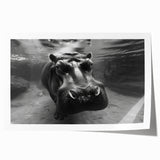 Hippopotamus wall art print showcasing vibrant colors and intricate details, designed for wildlife enthusiasts and home decor, rolled and ready for framing.