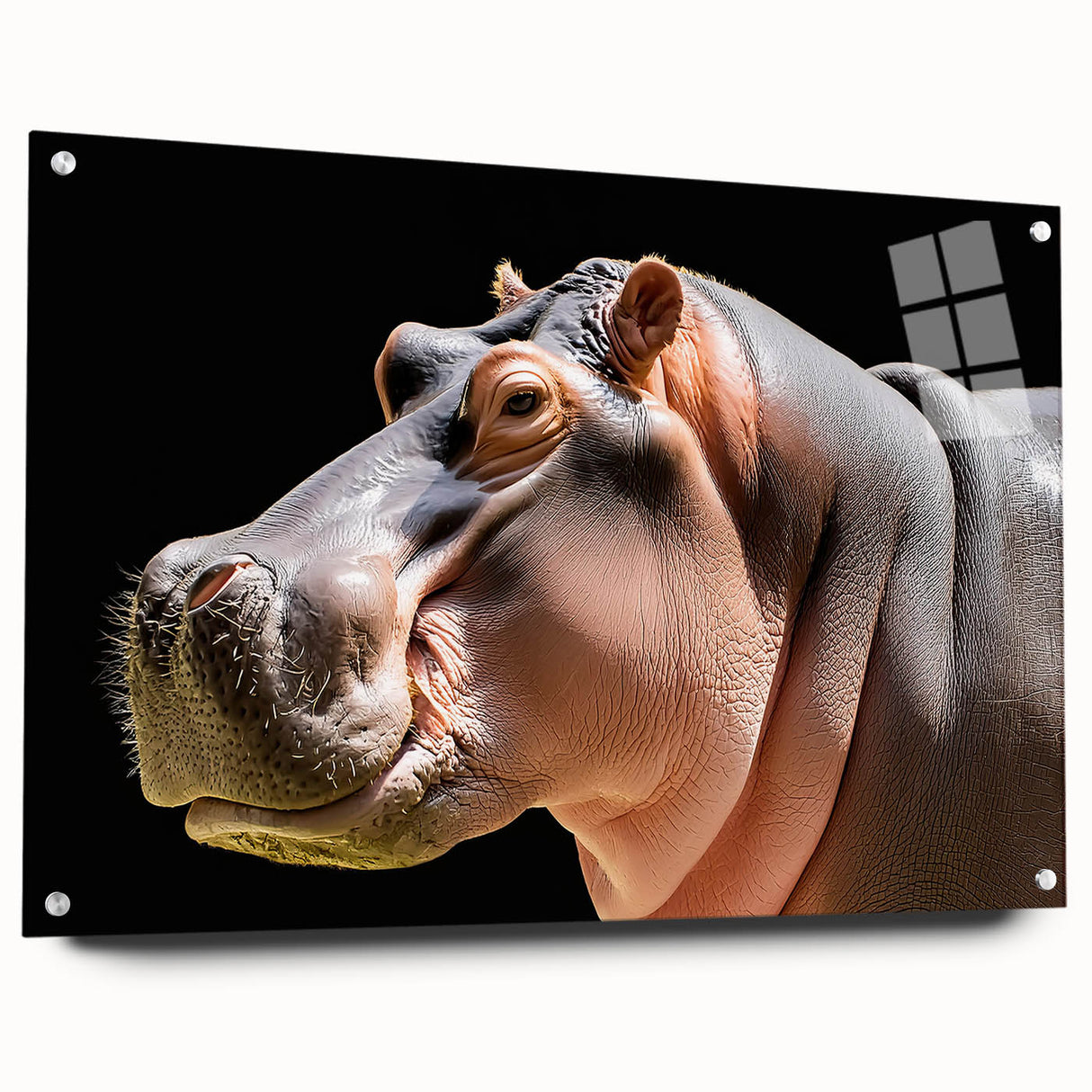 Acrylic wall art featuring a side view of a hippopotamus design, showcasing vibrant colors and intricate details, perfect for wildlife enthusiasts and home decor.