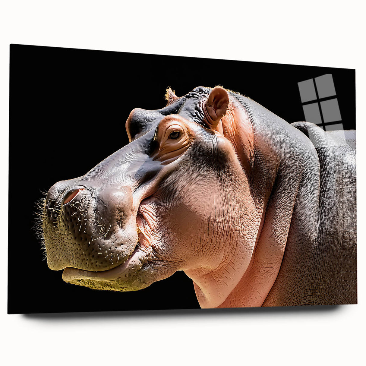 Side view of a sleek acrylic wall art piece featuring a vibrant hippopotamus design in a wild life theme, showcasing rich colors and intricate details, perfect for animal lovers.