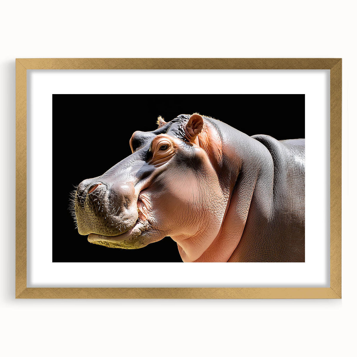Hippopotamus wall art design featuring a gold-framed print, showcasing a vibrant illustration of a hippo in a natural setting, perfect for animal lovers' home decor.