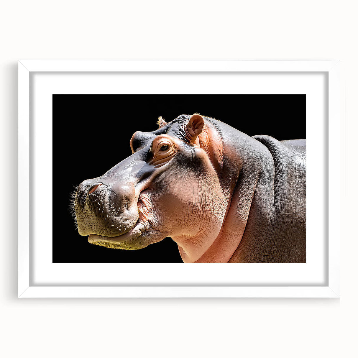 Hippopotamus wall art design displayed in a white frame with a mat, showcasing vibrant colors and intricate details, perfect for wildlife enthusiasts and decor.