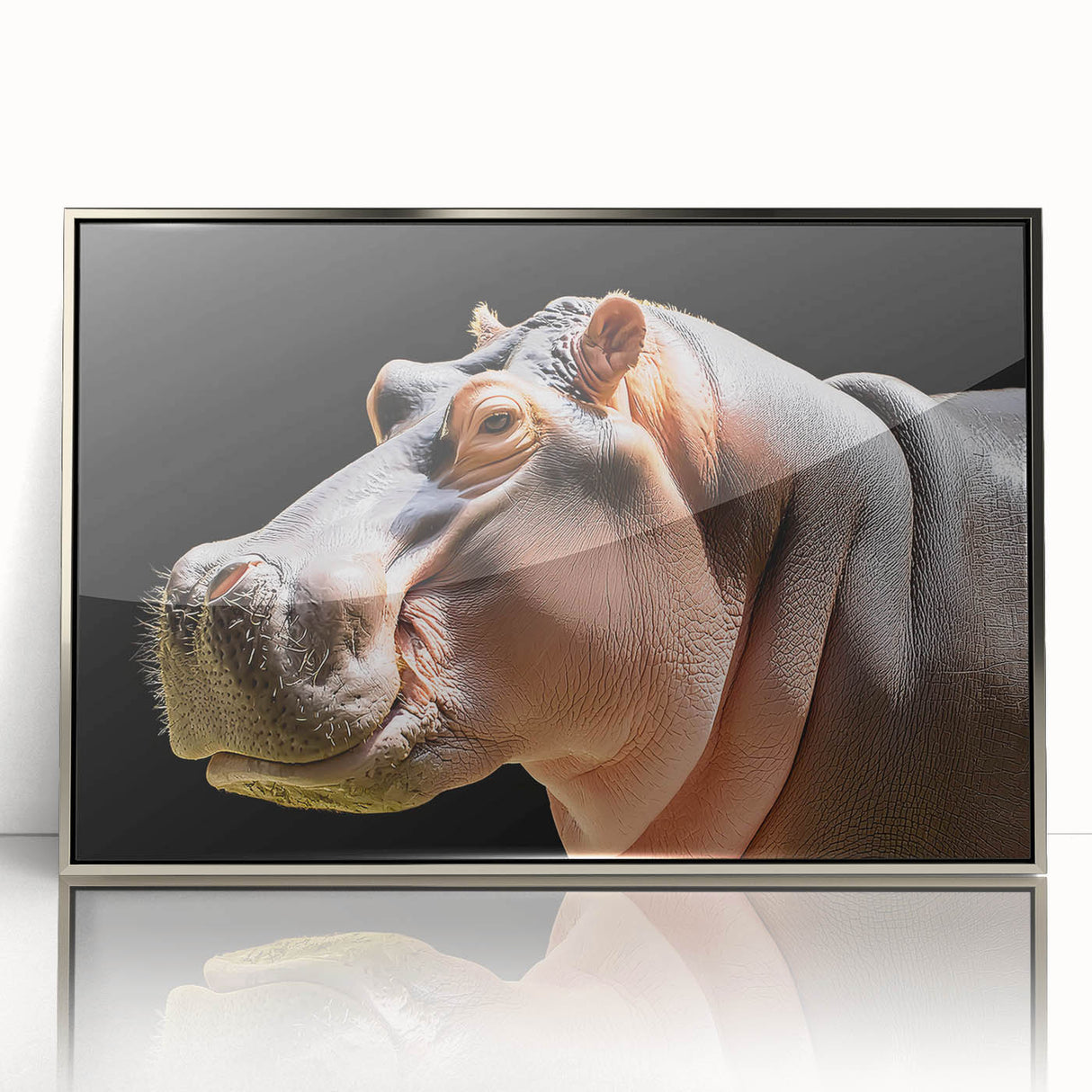 Framed acrylic wall art showcasing a detailed front view of a hippopotamus, featuring vibrant colors and a sleek silver frame, perfect for wildlife enthusiasts.