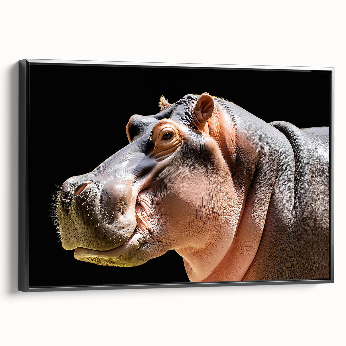 Framed canvas wall art showcasing a black side view of a hippopotamus, featuring intricate details and vibrant colors, perfect for wildlife enthusiasts and modern decor.