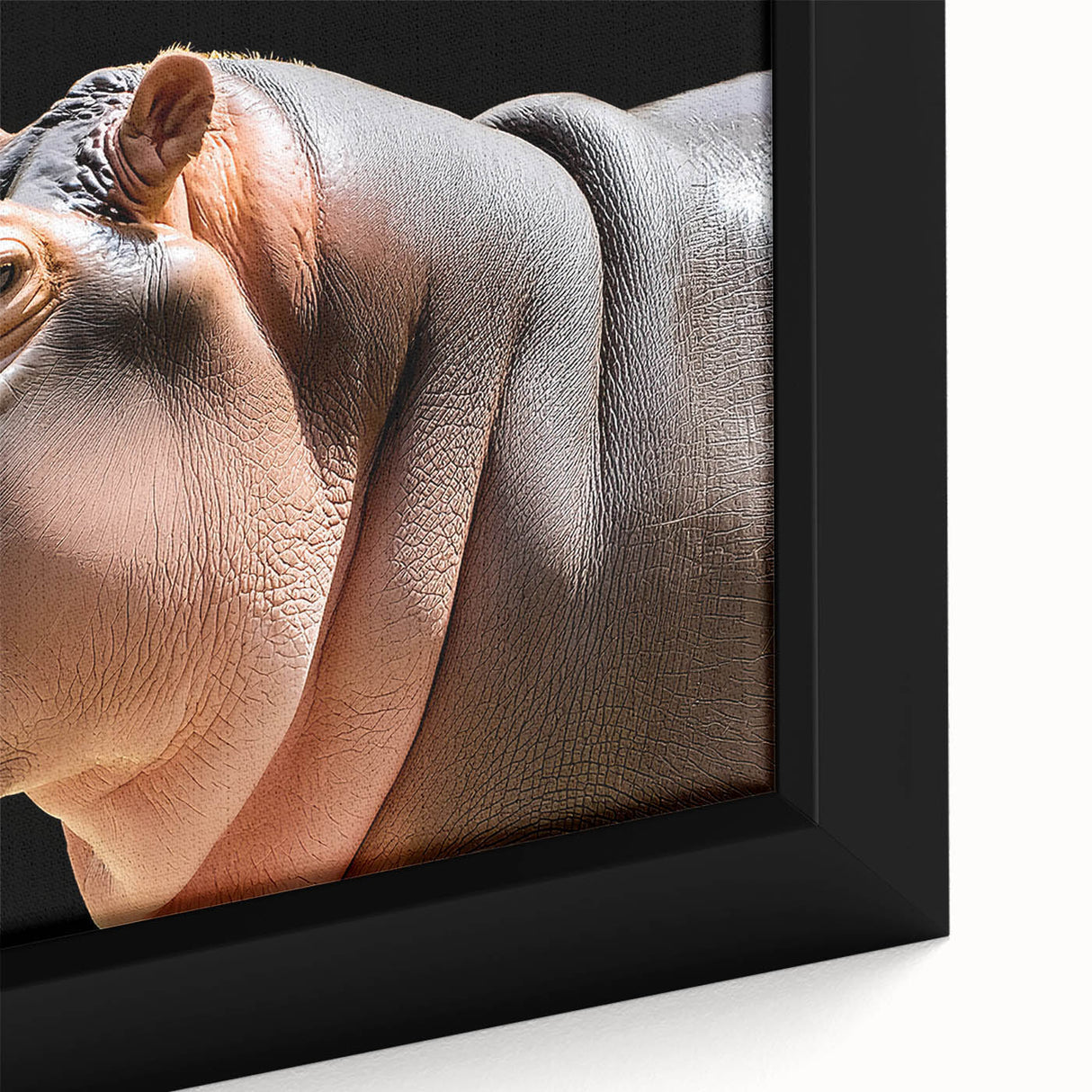 Close-up of a framed canvas wall art featuring a detailed, realistic illustration of a hippopotamus in a natural setting, showcasing vibrant colors and textures. Ideal for animal lovers and wildlife enthusiasts, this art piece adds a unique touch to any home or office decor.