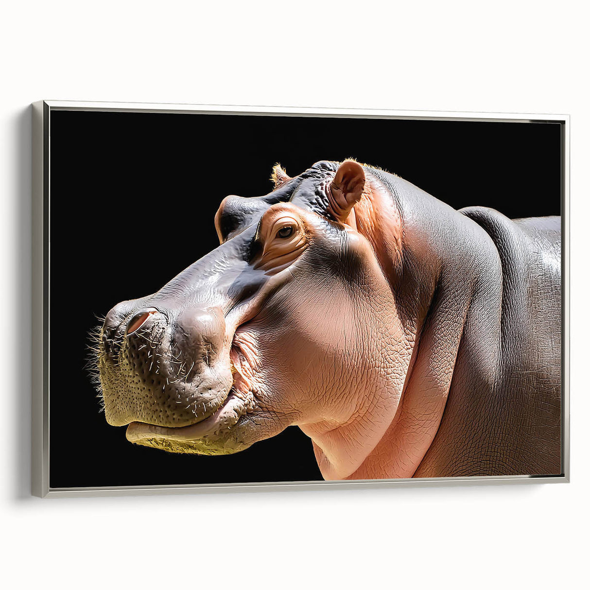 Framed canvas wall art featuring a silver side view of a hippopotamus, showcasing intricate details and vibrant colors, perfect for wildlife enthusiasts and home decor.