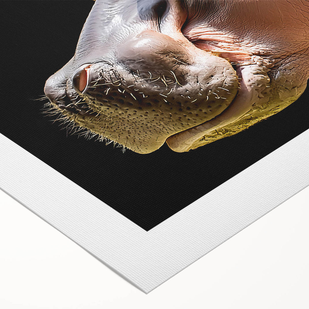 Vibrant rolled canvas wall art showcasing a stylized hippopotamus design, featuring bold colors and intricate details, perfect for animal lovers and home decor enthusiasts.