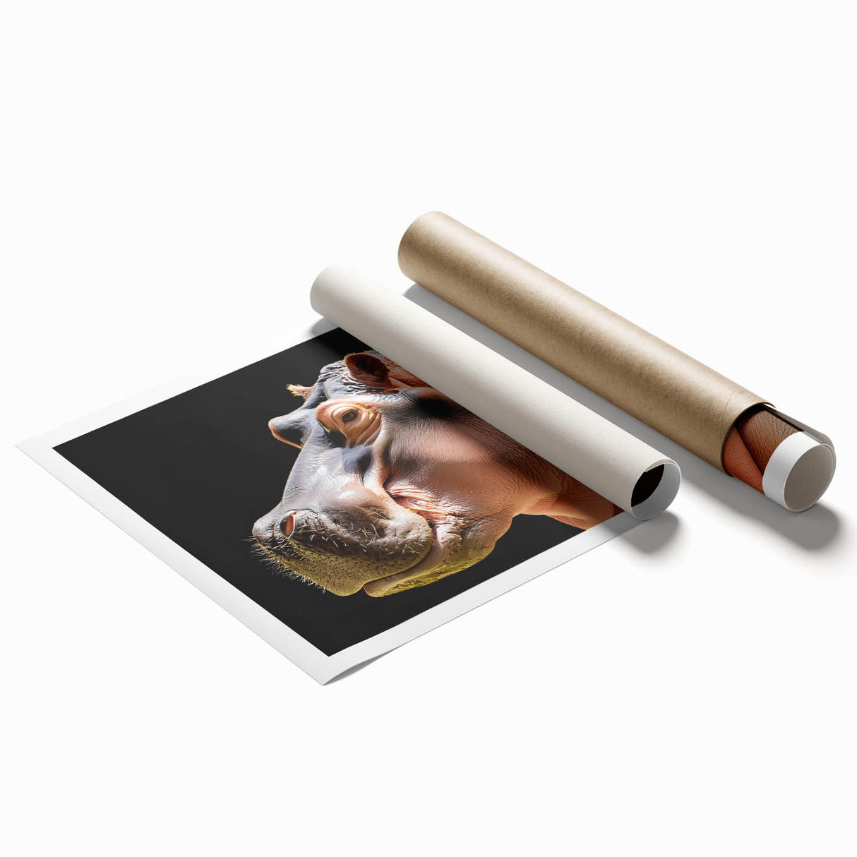 Vibrant rolled print of a hippopotamus design, showcasing intricate details and bold colors, perfect for wildlife-themed decor or art collectors.
