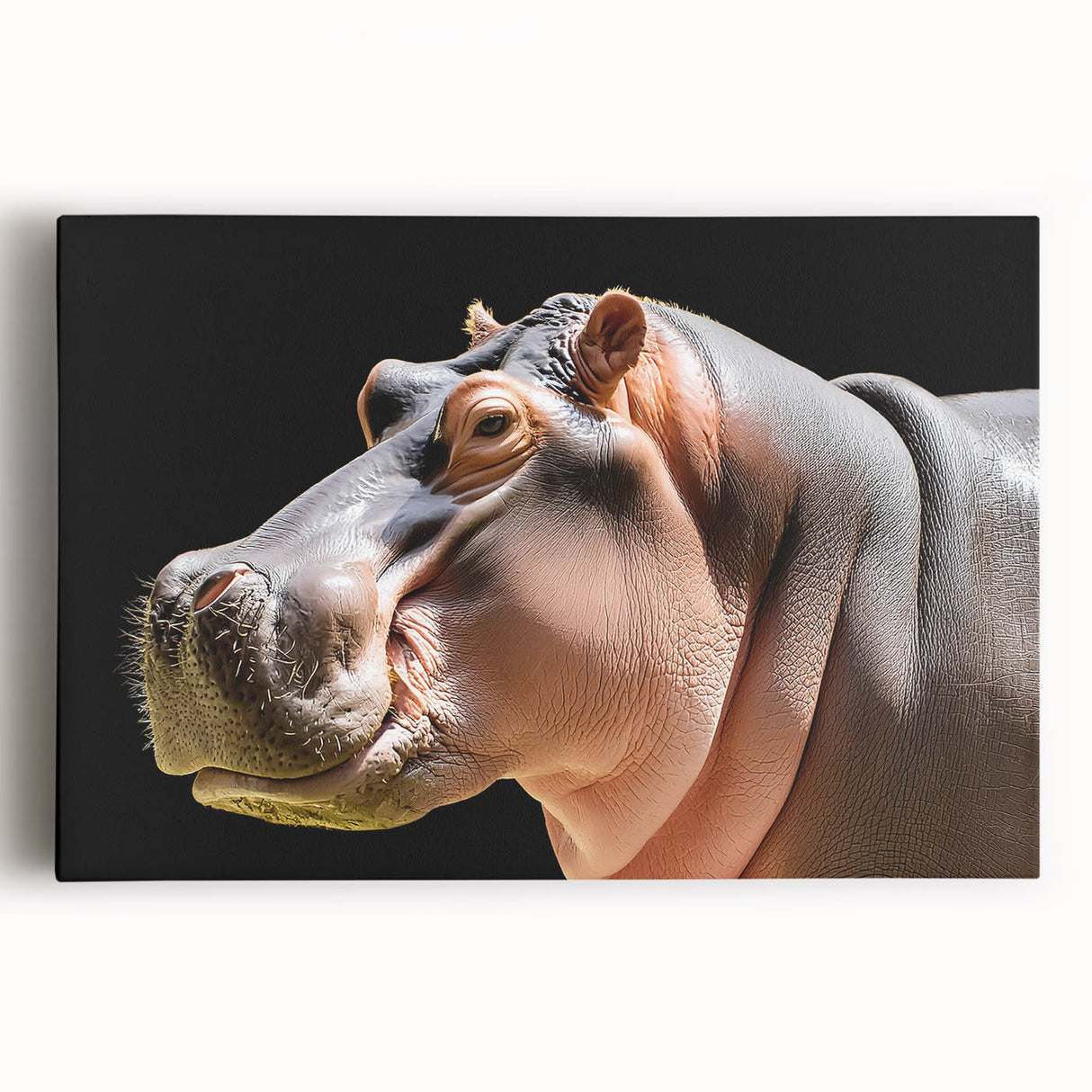 Hippopotamus design stretched canvas wall art, showcasing a vibrant front view of the animal in a natural habitat, perfect for wildlife enthusiasts and decor.