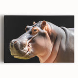 Hippopotamus design stretched canvas wall art, showcasing a vibrant front view of the animal in a natural habitat, perfect for wildlife enthusiasts and decor.