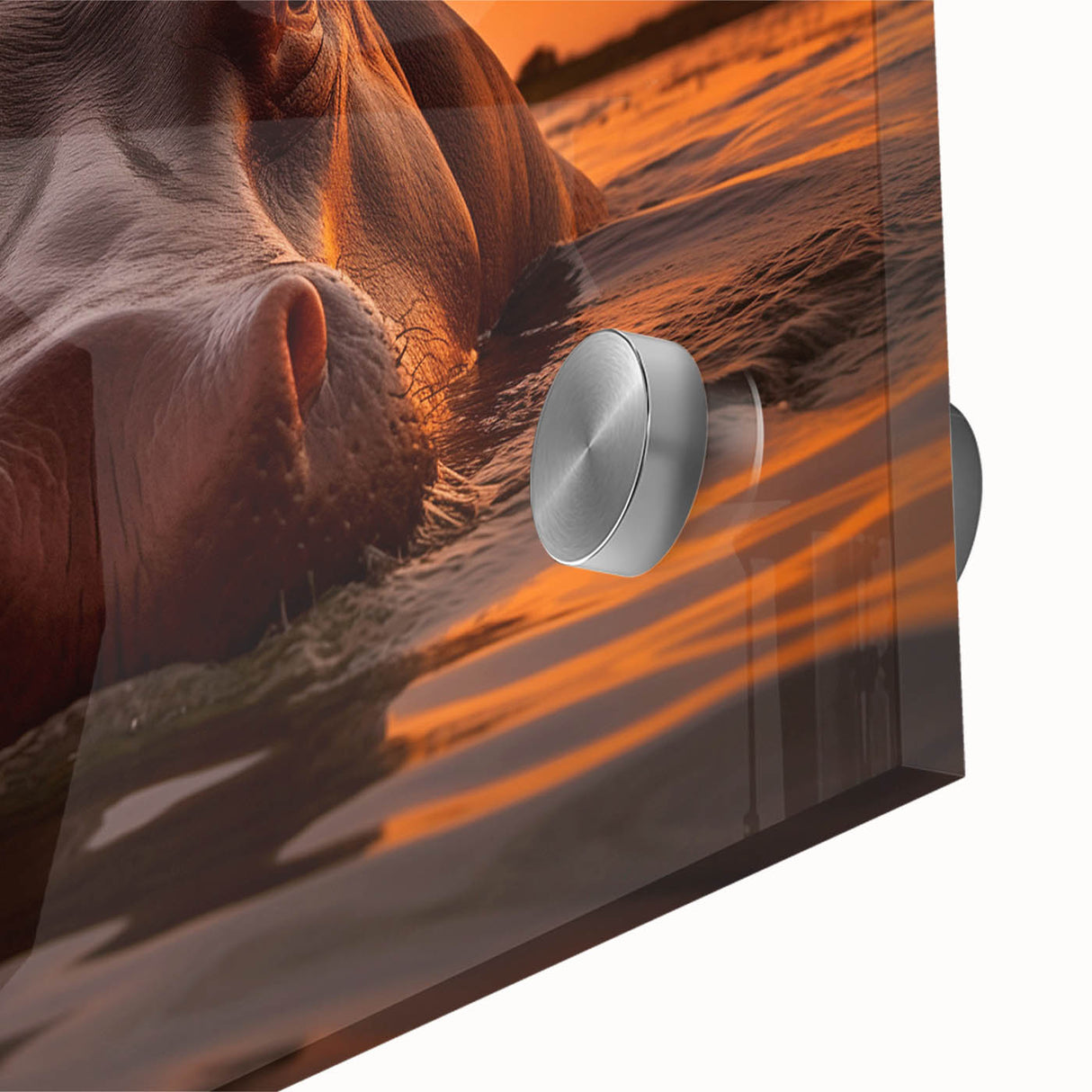 Close-up of a vibrant acrylic print showcasing a hippopotamus in its natural habitat, highlighting intricate details and colors, perfect for wildlife art enthusiasts.