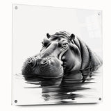 Acrylic glass wall art featuring a side view of a hippopotamus design, showcasing vibrant colors and intricate details, ideal for animal lovers’ decor.