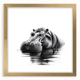 Hippopotamus wall art design showcasing a vibrant gold frame with matting, perfect for adding a touch of wildlife elegance to any room decor. Ideal for animal lovers and modern interiors.