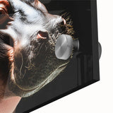 Close-up view of a vibrant acrylic glass wall art piece featuring a detailed illustration of a hippopotamus in a natural habitat, showcasing rich colors and intricate textures, ideal for animal lovers and home decor enthusiasts.