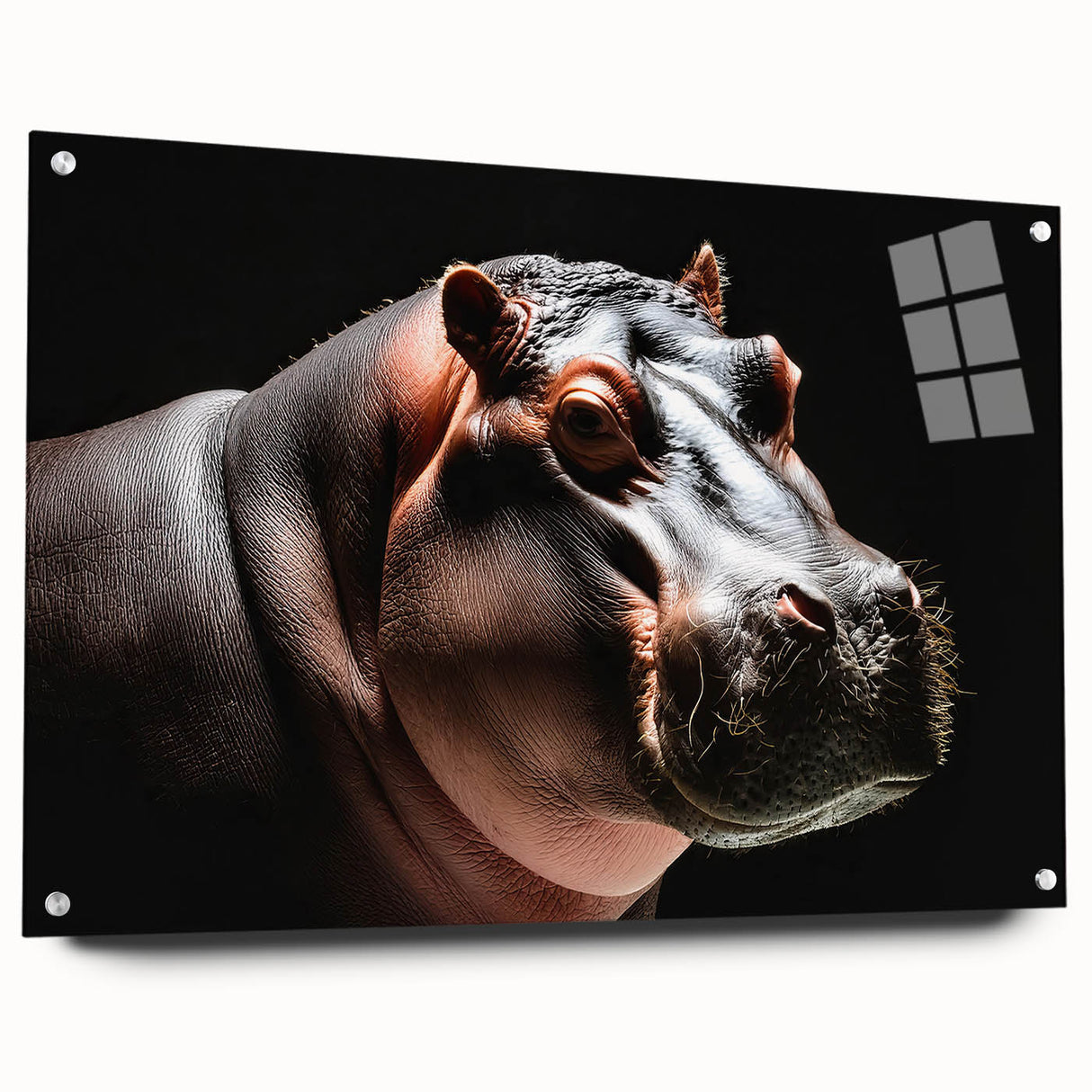 Side view of a vibrant acrylic glass wall art piece showcasing a hippopotamus design, featuring intricate details and bright colors, ideal for animal lovers’ decor.