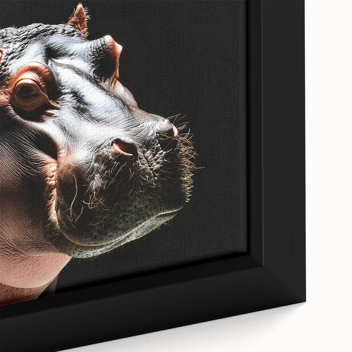 Close-up of a vibrant framed canvas wall art featuring a hippopotamus design, showcasing intricate details and rich colors, perfect for animal lovers and home decor.