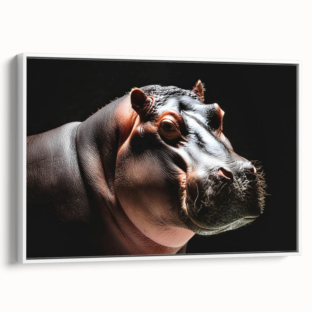 Framed canvas wall art featuring a side view of a hippopotamus set against a white background, showcasing detailed textures and vibrant colors, perfect for animal lovers and home decor enthusiasts.