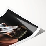 Vibrant rolled wall art print showcasing a stylized hippopotamus design, perfect for animal lovers and home decor enthusiasts, presented in a protective cardboard tube.