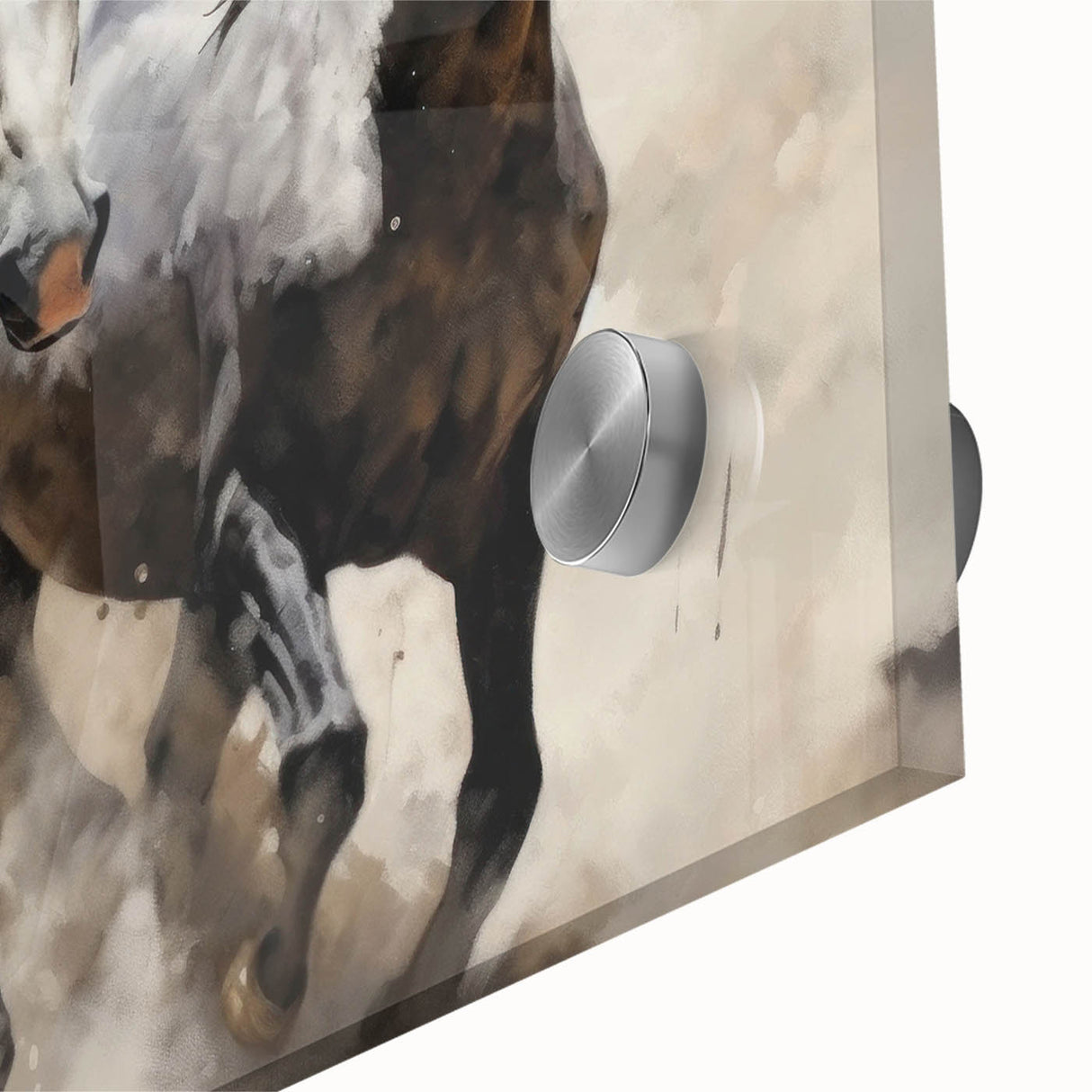 Close-up of a vibrant horse wall art design in acrylic glass, showcasing intricate details and colors, ideal for animal lovers and home decor enthusiasts.