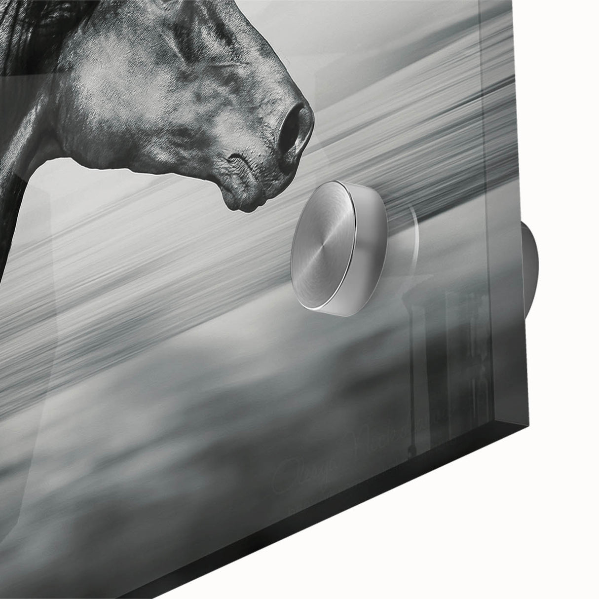 Close-up of vibrant horse wall art design on acrylic glass, showcasing intricate details and vivid colors, perfect for animal lovers and home decor.