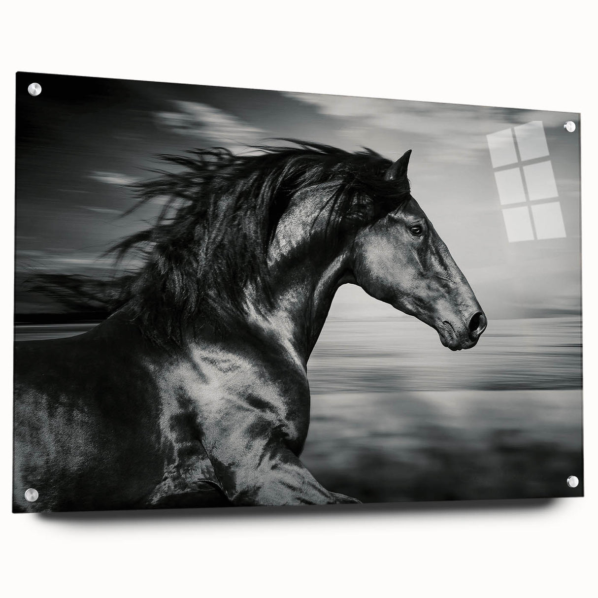Acrylic wall art showcasing a side view of a wild horse design, featuring vibrant colors and intricate details, perfect for animal lovers and home decor enthusiasts.