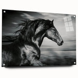 Acrylic wall art showcasing a side view of a wild horse design, featuring vibrant colors and intricate details, perfect for animal lovers and home decor enthusiasts.