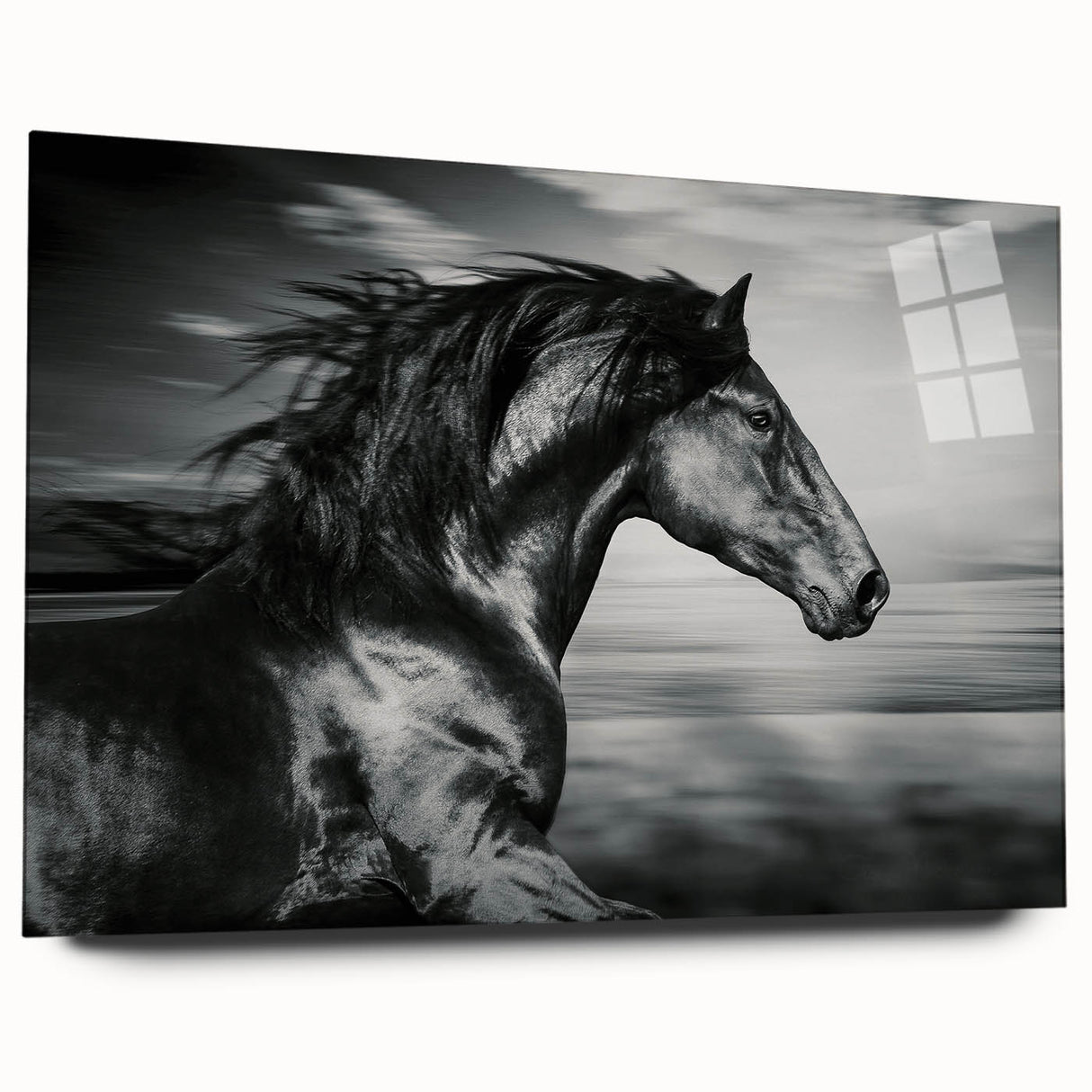 Side view of a sleek acrylic glass wall art piece showcasing a beautifully detailed horse design from the "Animals A Wild Life" collection, perfect for equine-themed decor.