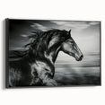 Framed canvas wall art featuring a stunning black horse design, showcasing intricate details and textures, perfect for animal lovers and home decor enthusiasts.
