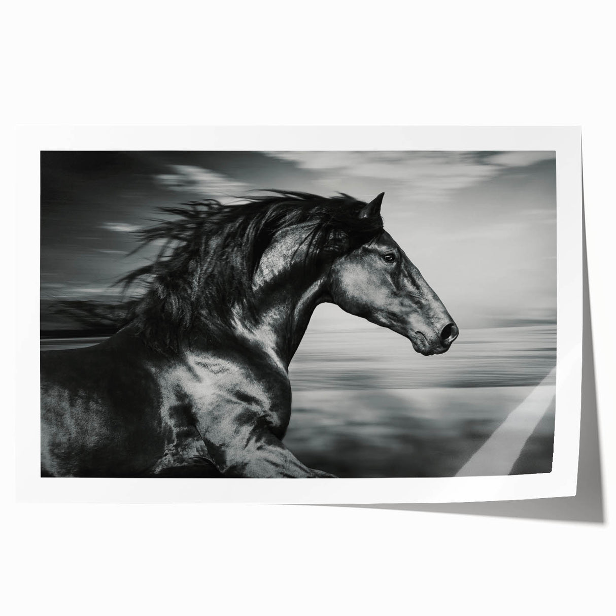 Wildlife-themed wall art featuring a majestic horse design, printed on high-quality canvas with vibrant colors, rolled for easy display and storage. Ideal for animal lovers.