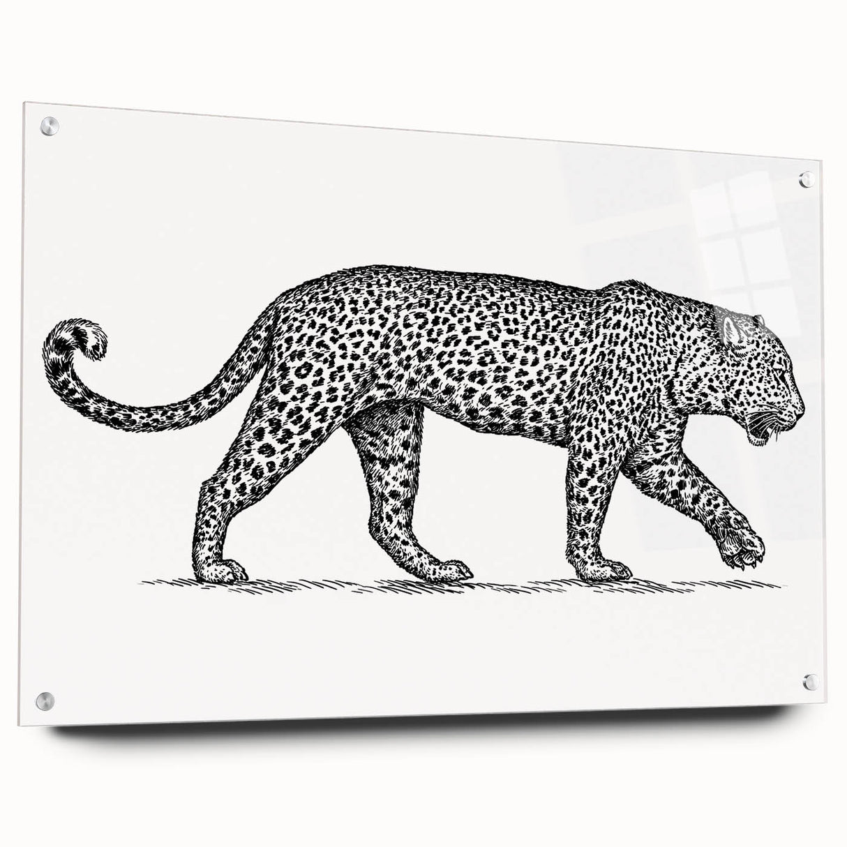 Acrylic glass wall art showcasing a striking side view of a jaguar design from the 'Animals a Wild Life' collection, elegantly displayed with pins, ideal for nature-themed decor.