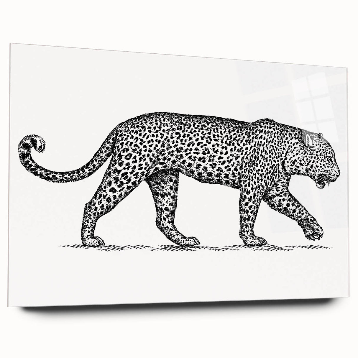 Acrylic glass wall art showcasing a striking side view of a jaguar design from the "Animals a Wild Life" collection, featuring vibrant colors and intricate details perfect for nature enthusiasts.