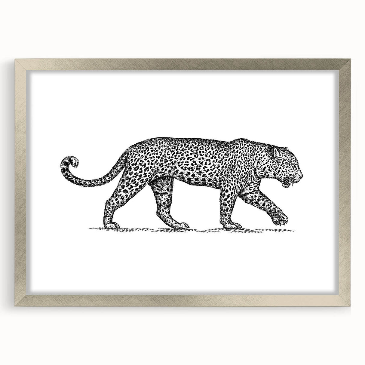 Framed wall art collection showcasing a stunning jaguar design, featuring intricate details and a silver mat, perfect for animal lovers and home decor enthusiasts.