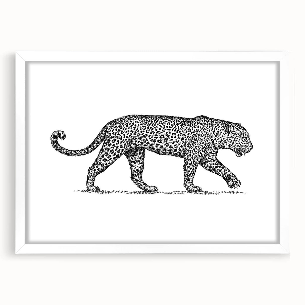 Jaguar-themed wall art framed in white matting, showcasing a vibrant design that highlights the beauty of wildlife. Perfect for animal lovers and home decor enthusiasts.
