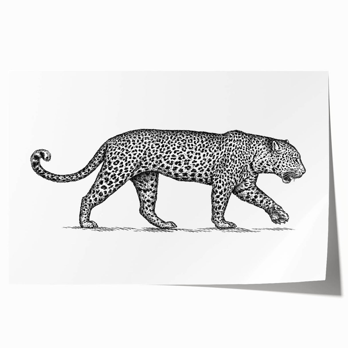 Vibrant wall art print of a jaguar in a lush jungle setting, showcasing intricate details and vivid colors, perfect for wildlife enthusiasts and home decor.