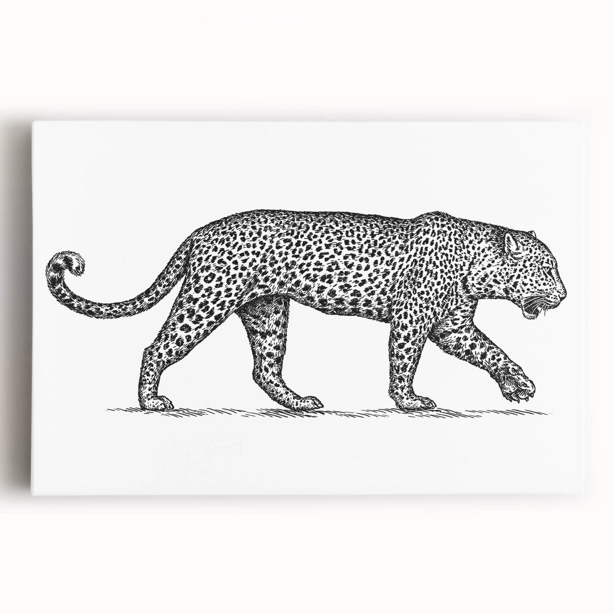 Stretched canvas wall art featuring a striking front view of a jaguar in a vibrant, detailed design, perfect for wildlife enthusiasts and home decor.