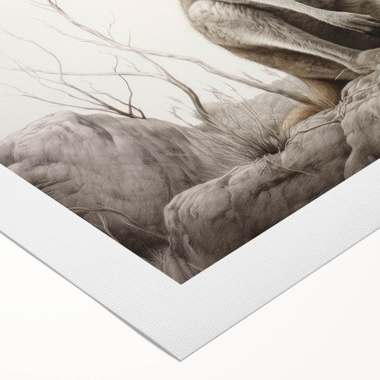 Vibrant rolled canvas wall art featuring a detailed kangaroo design from the Animals A Wild Life collection, showcasing rich colors and textures, perfect for enhancing home decor.