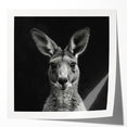 Kangaroo-themed wall art collection featuring vibrant colors and intricate designs, presented in a glossy finish, ideal for animal lovers and home decor enthusiasts.