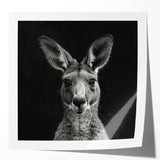 Kangaroo-themed wall art collection featuring vibrant colors and intricate designs, presented in a glossy finish, ideal for animal lovers and home decor enthusiasts.