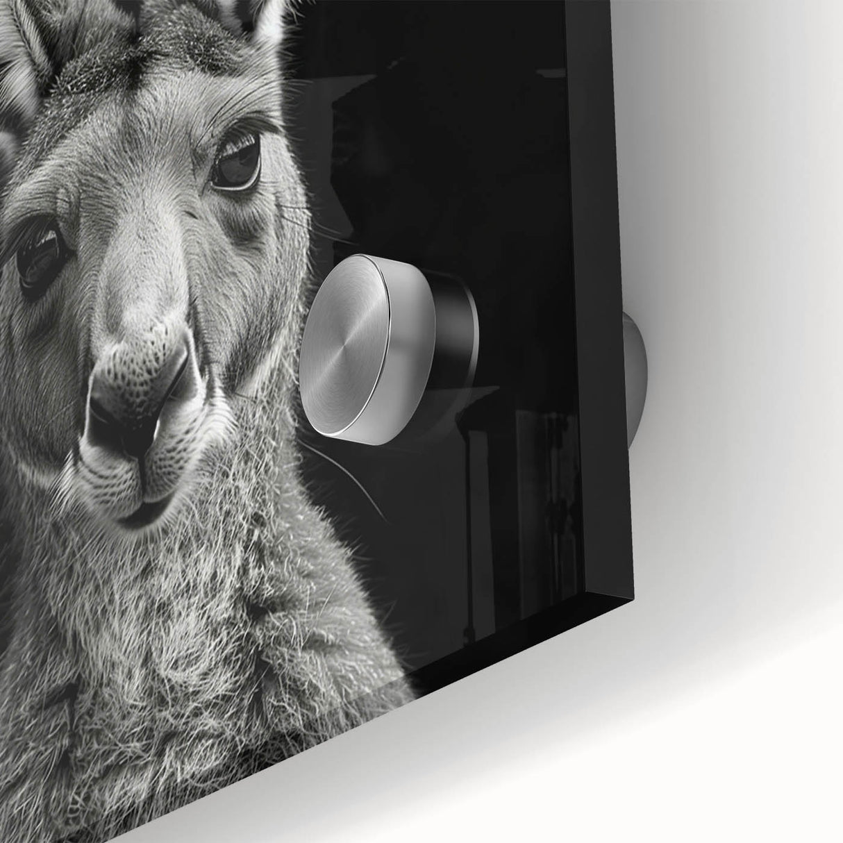 Close-up of a vibrant kangaroo wall art design on acrylic glass, showcasing detailed textures and colors, perfect for enhancing modern wildlife decor.
