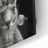 Close-up of a vibrant kangaroo wall art design on acrylic glass, showcasing detailed textures and colors, perfect for enhancing modern wildlife decor.