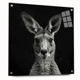 Side view of a kangaroo-themed wall art design, displayed with acrylic glass and decorative pins, showcasing vibrant colors and intricate details in a modern setting.