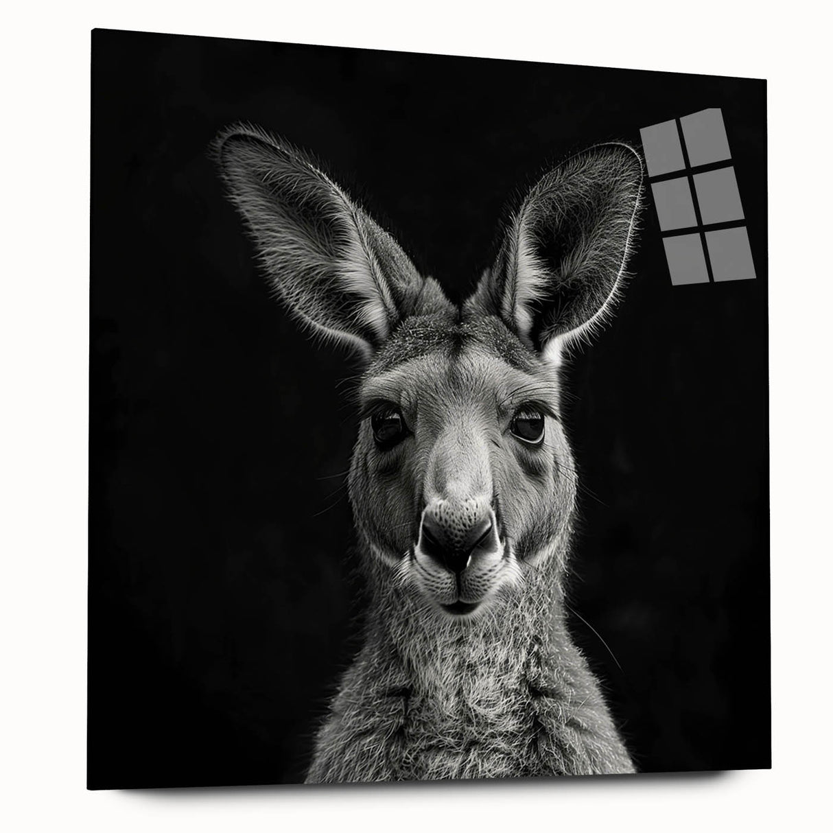 Acrylic wall art collection showcasing a vibrant kangaroo design in a side view, featuring intricate details and bright colors, ideal for animal lovers' decor.