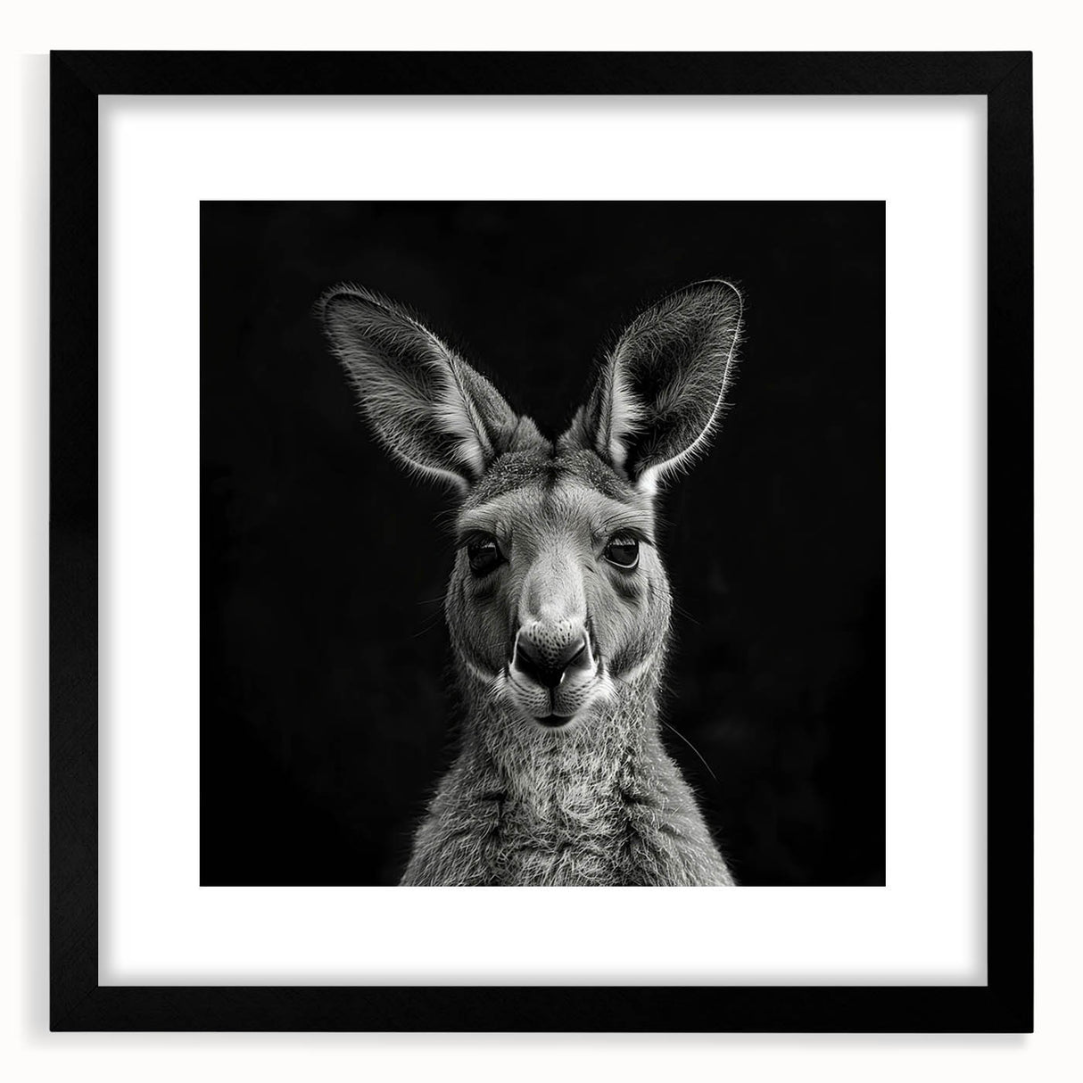 Black-framed wall art featuring a detailed kangaroo design from the "Animals - A Wild Life" collection, perfect for enhancing home decor with a natural touch.
